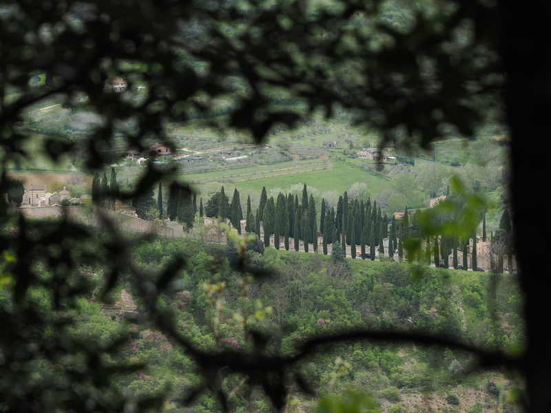 Assisi-2025-44
