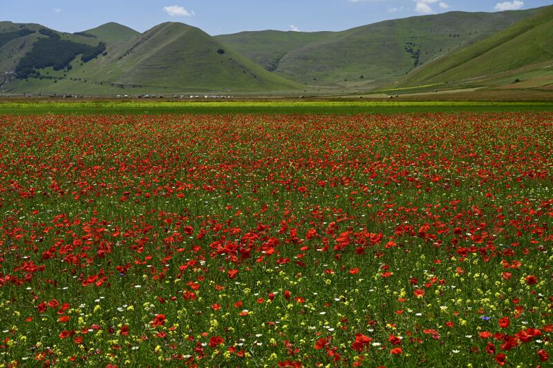 Castelluccio-2023-01