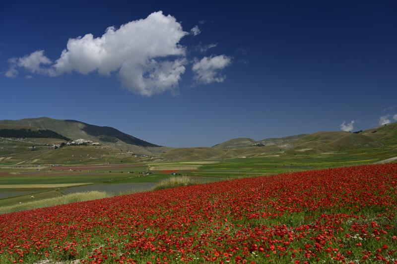 Castelluccio-2023-05