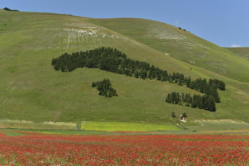 Castelluccio-2023-06