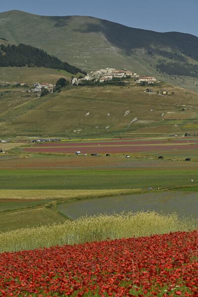 Castelluccio-2023-11