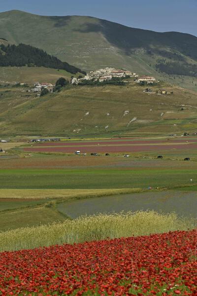 Castelluccio-2023-14