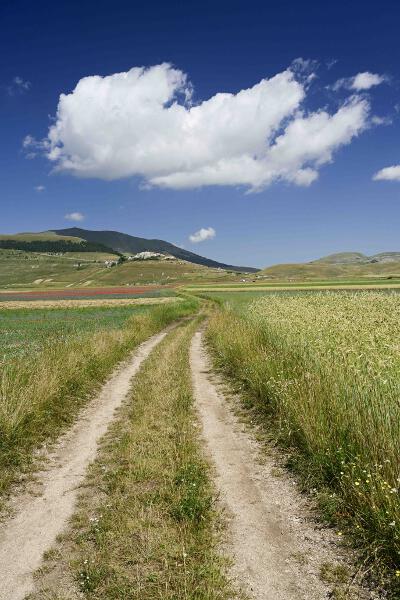 Castelluccio-2023-16