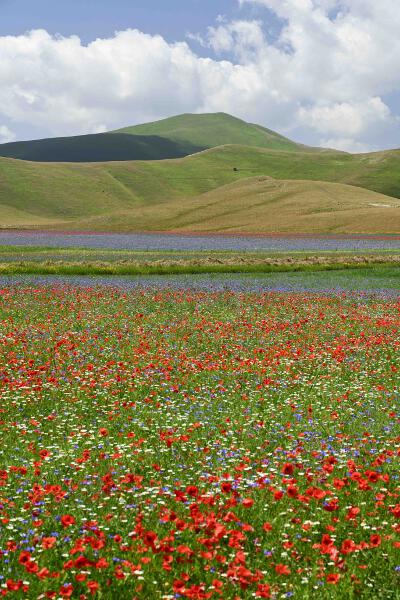 Castelluccio-2023-17