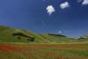 Castelluccio-2023-02