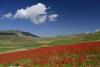 Castelluccio-2023-13