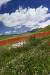 Castelluccio-2023-18