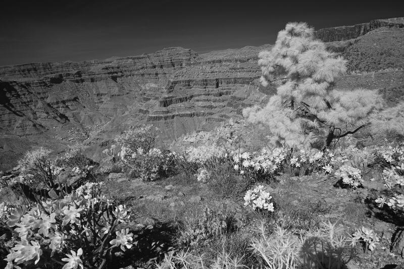 GranCanaria-2023-IR-06