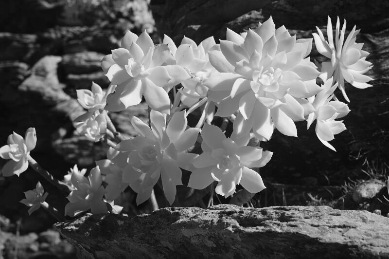 GranCanaria-2023-IR-07