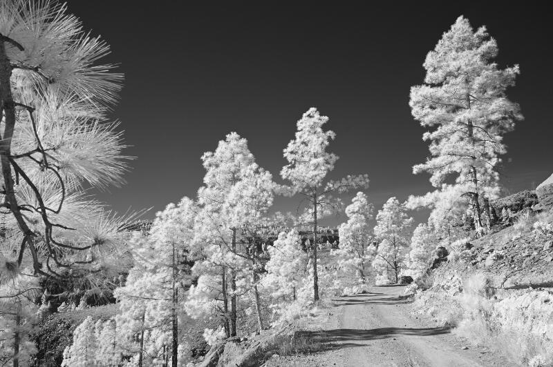 GranCanaria-2023-IR-09