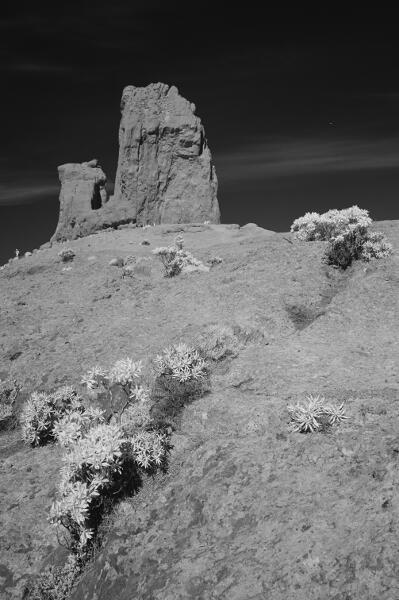 GranCanaria-2023-IR-11