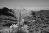 GranCanaria-2023-IR-13