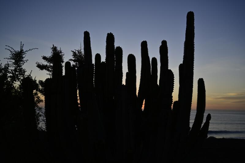 GranCanaria-2023-61