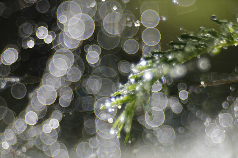 Impression-07