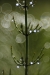 Impression-06