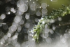 Impression-07