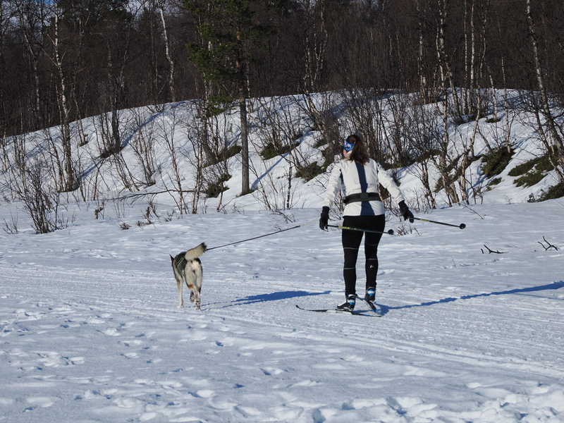 Kiruna-2025-13
