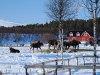 Kiruna-2025-10
