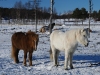 Kiruna-2025-11