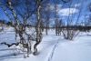 Kiruna-2024-15