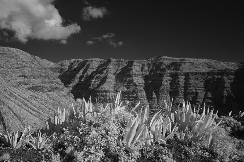 La-Gomera-2023-BW-05