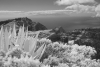 La-Gomera-2023-BW-14