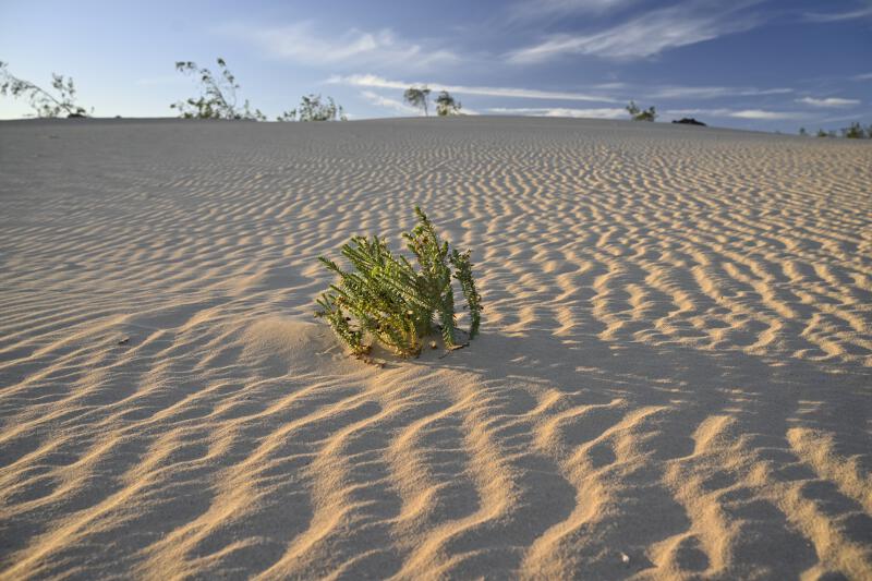 Lanzarote-2020-11