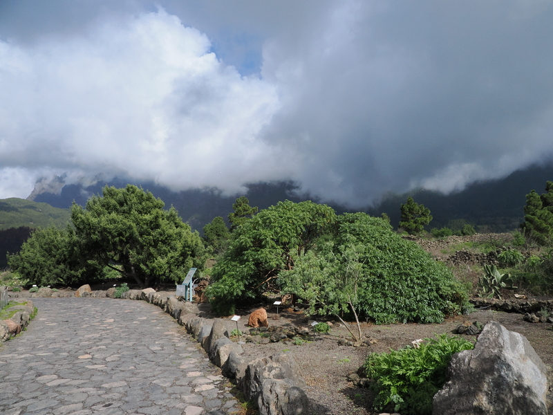 LaPalma-2024-28