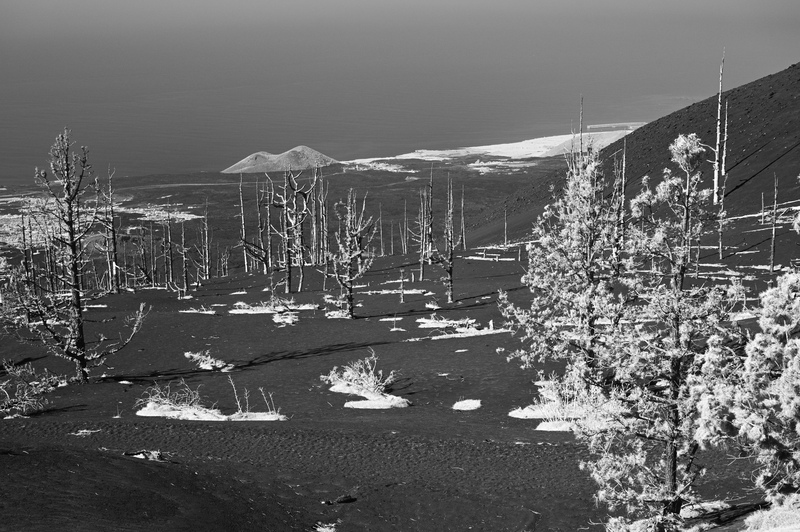 LaPalma-2024-3