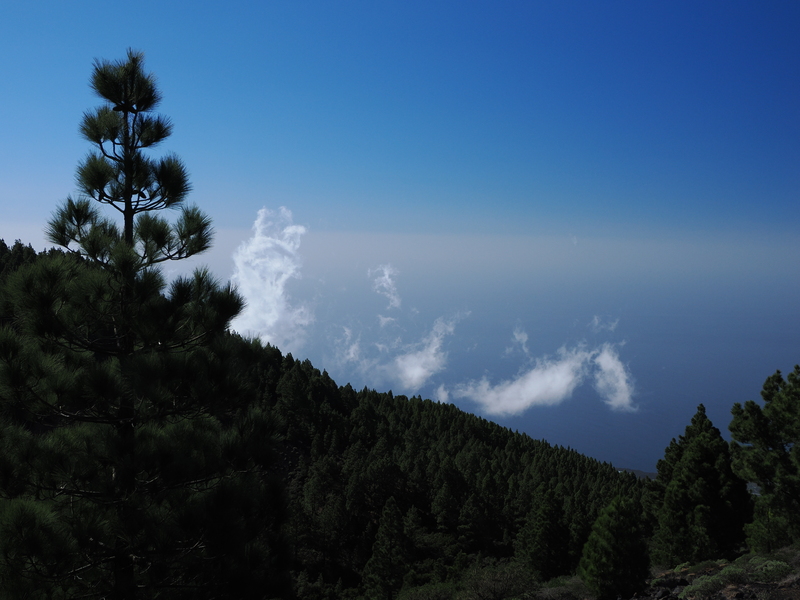 LaPalma-2024-30