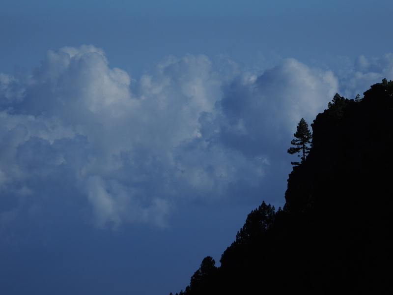 LaPalma-2024-33