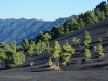LaPalma-2024-10