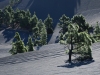LaPalma-2024-11