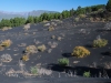 LaPalma-2024-12