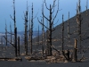 LaPalma-2024-16