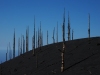 LaPalma-2024-17
