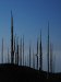 LaPalma-2024-19