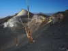 LaPalma-2024-20