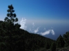 LaPalma-2024-30