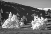 LaPalma-2024-5