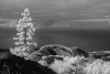 LaPalma-2024-6