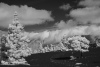 LaPalma-2024-8