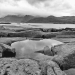 Lofoten-2022-BW-08