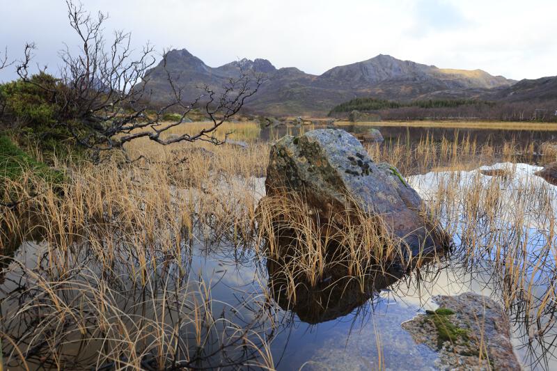 Lofoten-2022-COL-20