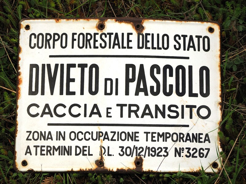 Marche-2024-3