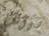 Marche-2024-10