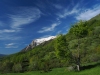 Marche-2025-26