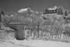 Marche-2025-46