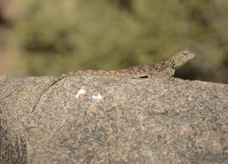 Namibia-2016-44
