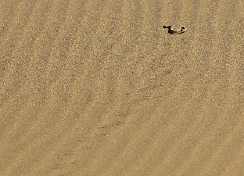 Namibia-2016-53